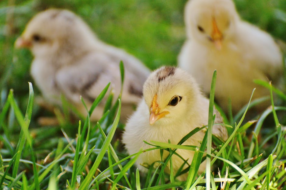 Warum Babys keine Milch bekommen sollten