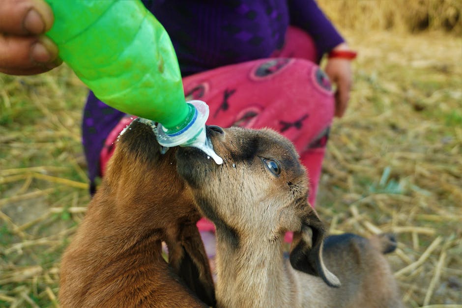 Milch für Babys ab einem Jahr empfohlen